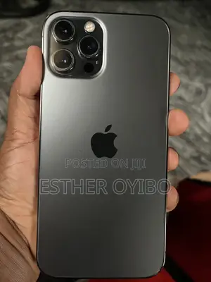Apple iPhone 12 Pro Max 128 GB Black