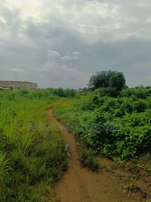 17 Plots of Land in Alaorji Port Harcourt Road Aba