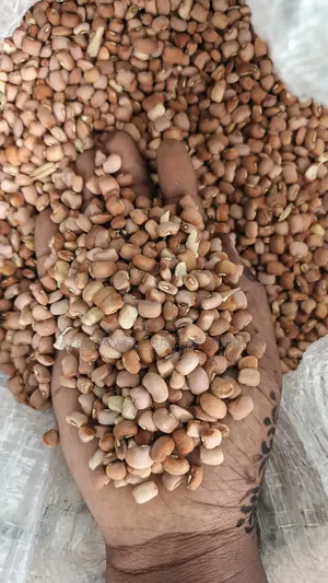 Olotu/Drum Beans