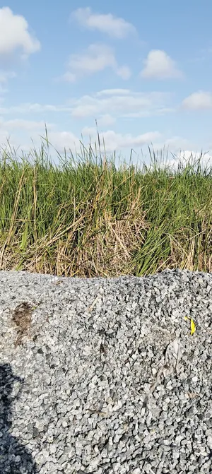 600 SQM Buy and Build Estate Land With C of O