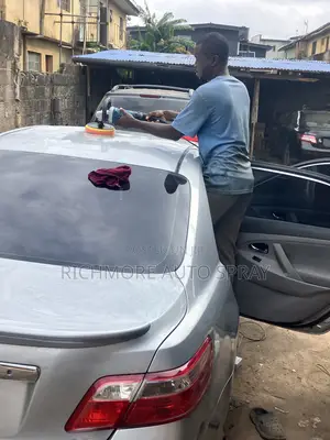 Car Buffing and Polishing
