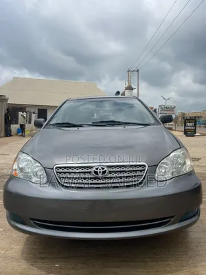 Toyota Corolla LE 2007 Gray