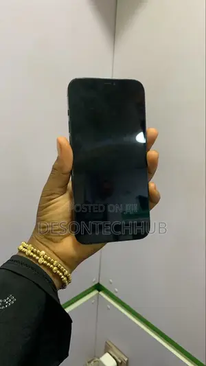 Apple iPhone 12 Pro Max 256 GB Blue