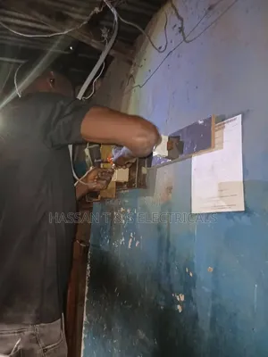 Professional Electrician