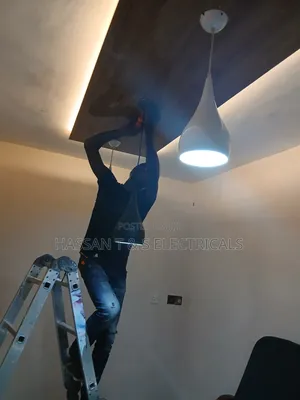 Professional Electrician