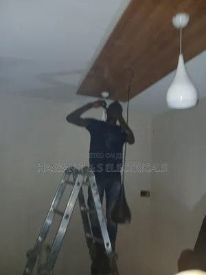 Professional Electrician