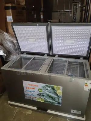 Snowsea BD-600 Double Door Chest Freezer (500L) Energy Saving