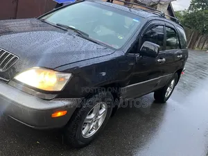 Lexus RX 2002 Gray
