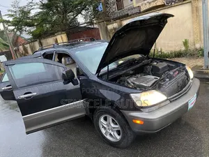Lexus RX 2002 Gray