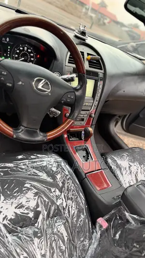 Lexus ES 350 2009 Gray