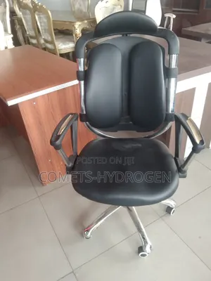 Ergonomic Orthopedic Kidney Executive Office Chair - Brand New