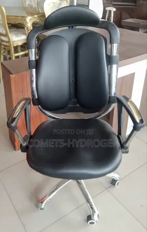 Ergonomic Orthopedic Kidney Executive Office Chair - Brand New