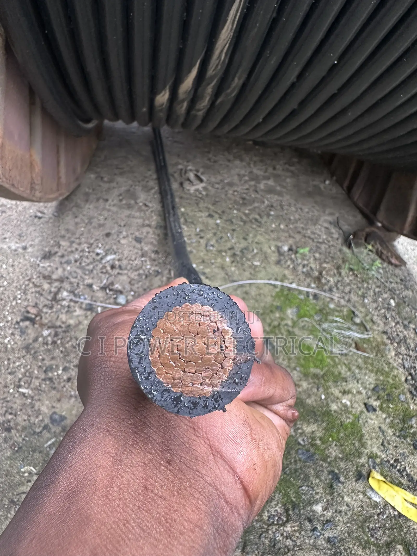 300mm Single PVC Cable