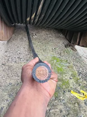 300mm Single PVC Cable