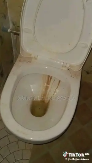 Professional Cleaning and Laundry