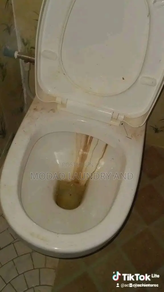 Professional Cleaning and Laundry