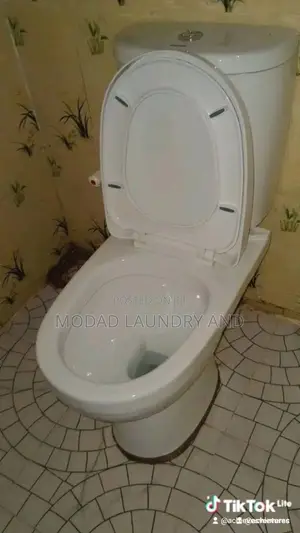 Professional Cleaning and Laundry