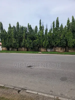 Land for Sale With Old Building