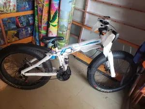 Unisex Bikes and Bicycle for Sale