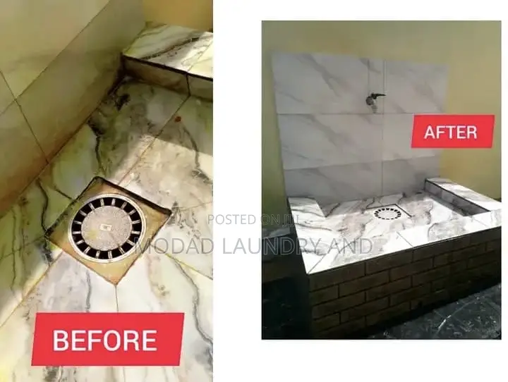 Professional Cleaning and Laundry