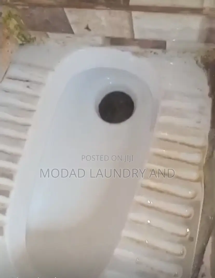 Professional Cleaning and Laundry