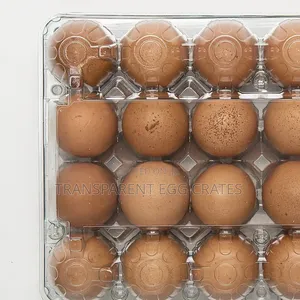 Egg Crates