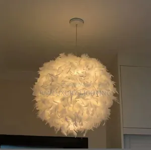 Modern Bedrrom  Feather Chandelier
