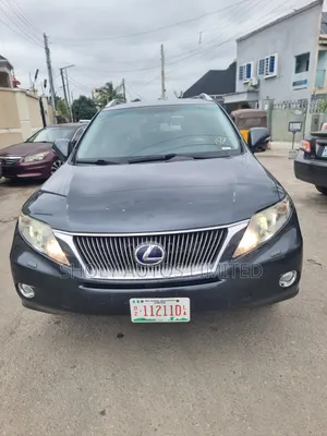 Lexus RX 2010 Gray