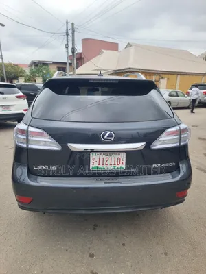 Lexus RX 2010 Gray