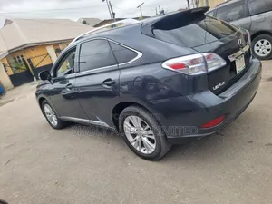 Lexus RX 2010 Gray