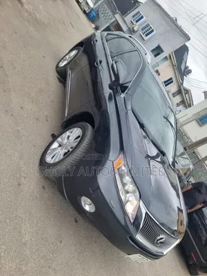 Lexus RX 2010 Gray