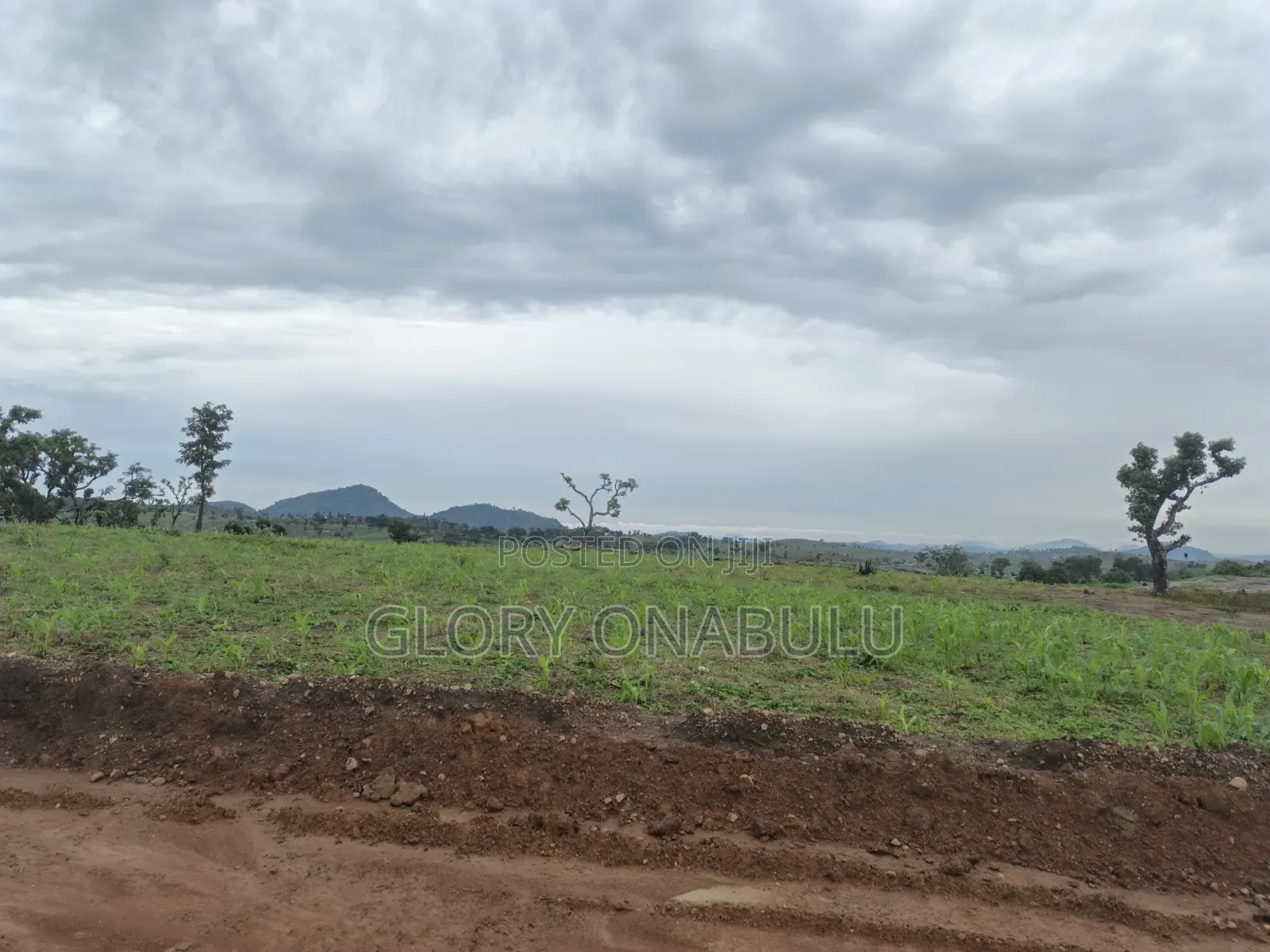Prime Investment Plot in a Fast Developing Area.