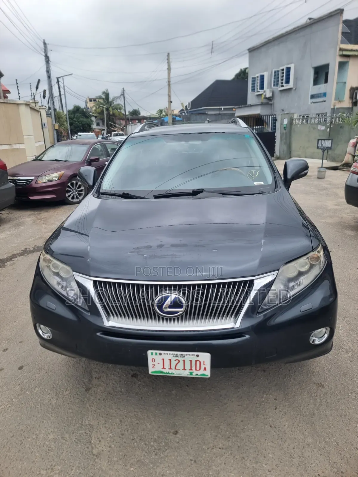 Lexus RX 2010 Gray