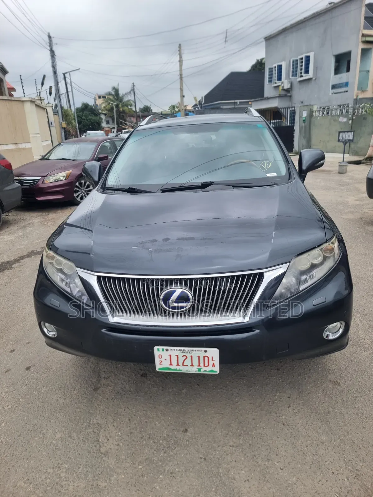 Lexus RX 2010 Gray