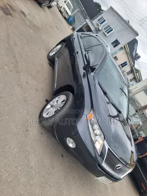 Lexus RX 2010 Gray