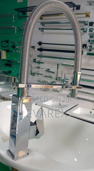 Exotic Sink Mixer Tap, Flexi Neck With Tap
