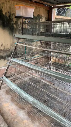 Neatly Used Galvanized Chicken Cage