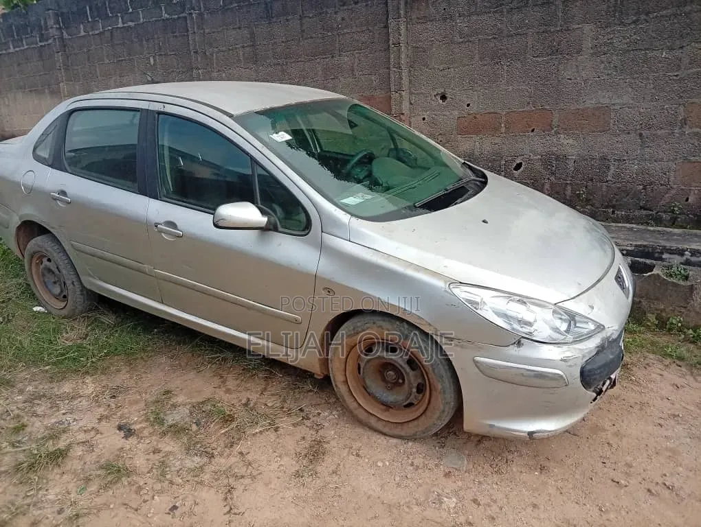 Peugeot 307 2005 Silver