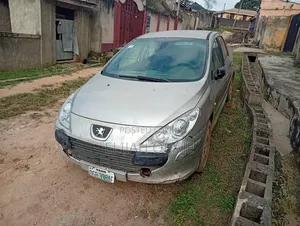 Peugeot 307 2005 Silver