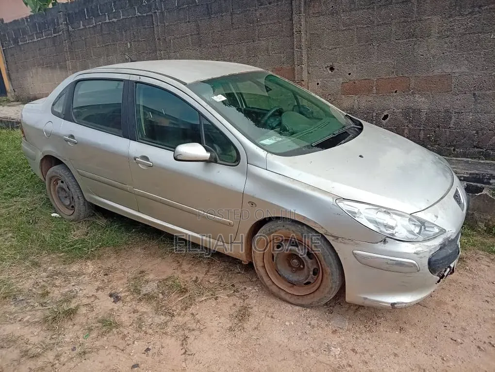 Peugeot 307 2005 Silver
