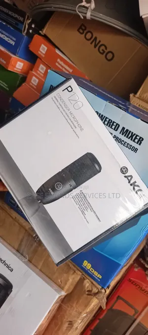 AKG Studio Microphone