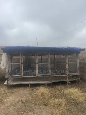 Chicken Cage