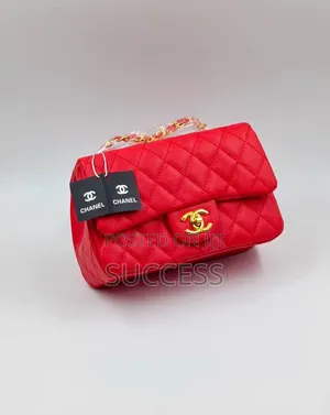 Stylish Ladies Bags – Mixed Brands