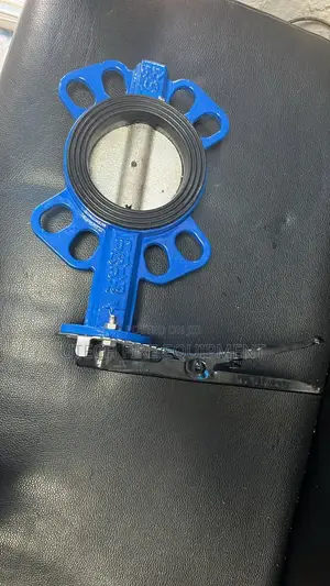 4 Inches Butterfly Valve