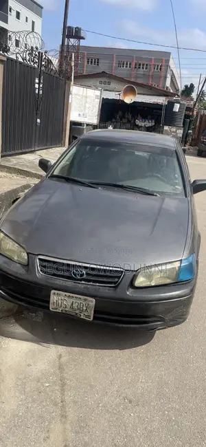 Toyota Camry 2002 Gray
