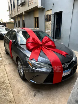 Surprise Car Gift Bows
