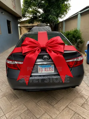 Surprise Car Gift Bows