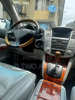 Lexus RX 2009 Blue