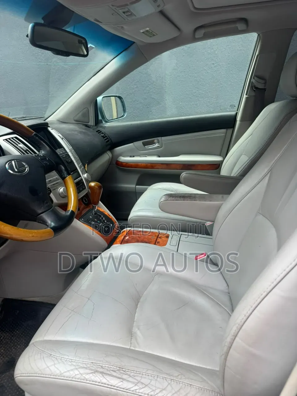 Lexus RX 2009 Blue