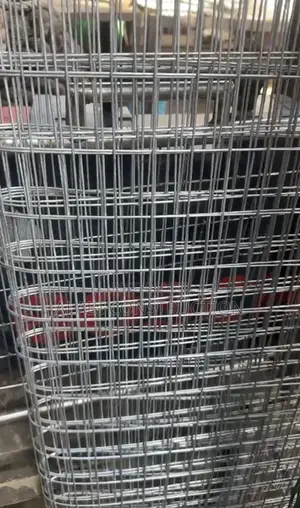 2/1 Welded Mesh